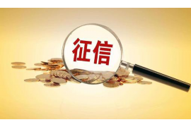 四川贷款清欠服务